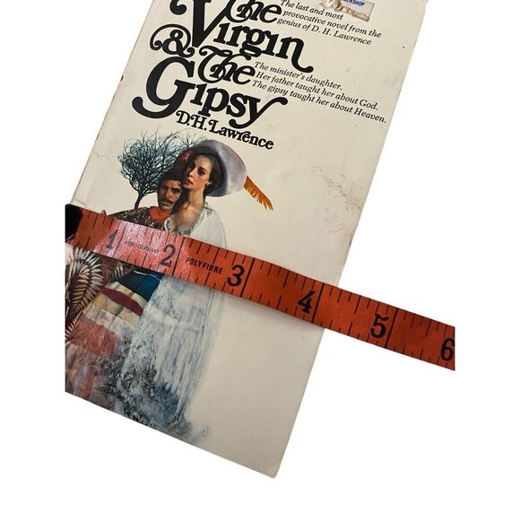 The Virgin And The Gipsy Paperback Book DH Lawrence Novel - Picture 10 of 12
